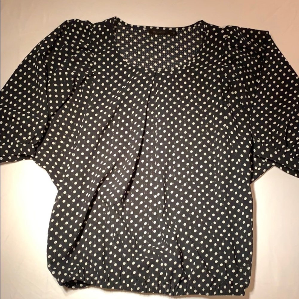 The Limited Sheer Polka Dot Blouse